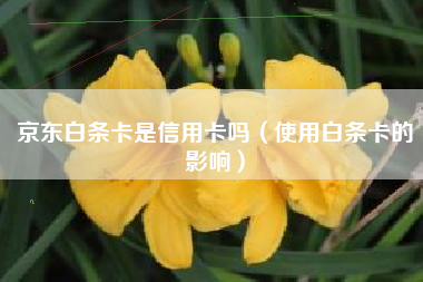 京东白条卡是信用卡吗（使用白条卡的影响）