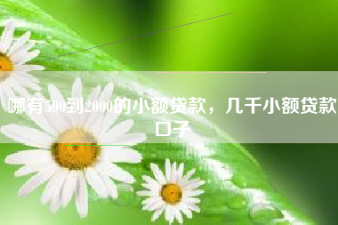 哪有500到2000的小额贷款，几千小额贷款口子