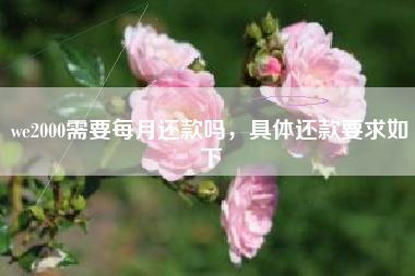we2000需要每月还款吗，具体还款要求如下
