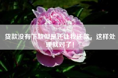 贷款没有下款但是还让我还款，这样处理就对了！