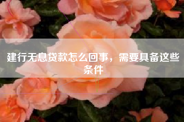 建行无息贷款怎么回事，需要具备这些条件