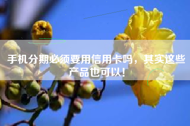 手机分期必须要用信用卡吗，其实这些产品也可以！
