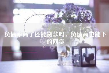 负债率高了还能贷款吗，负债高也能下的网贷