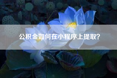 公积金如何在小程序上提取？