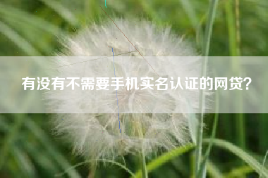 有没有不需要手机实名认证的网贷？