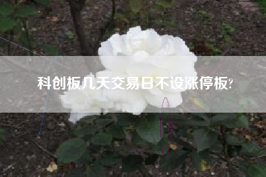 科创板几天交易日不设涨停板?