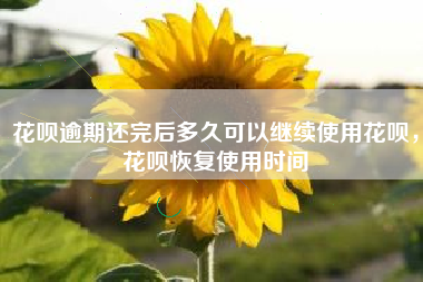 花呗逾期还完后多久可以继续使用花呗，花呗恢复使用时间