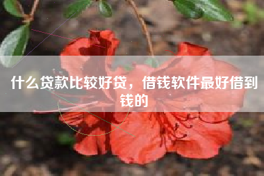什么贷款比较好贷，借钱软件最好借到钱的