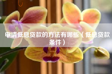申请低息贷款的方法有哪些（低息贷款条件）