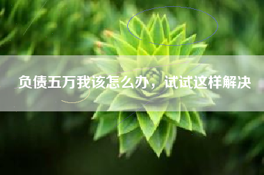 负债五万我该怎么办，试试这样解决