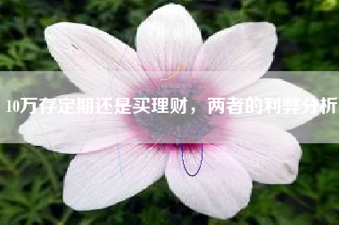 10万存定期还是买理财，两者的利弊分析