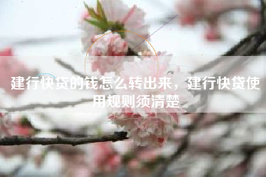 建行快贷的钱怎么转出来，建行快贷使用规则须清楚