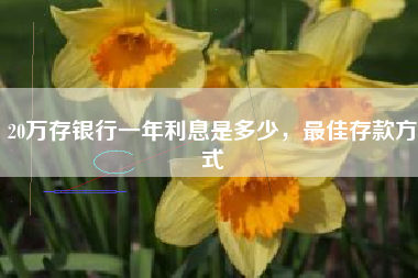 20万存银行一年利息是多少，最佳存款方式