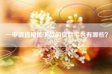 一申请直接能下款的贷款平台有哪些？