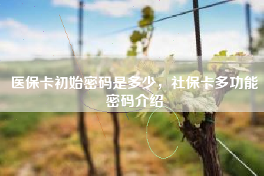医保卡初始密码是多少，社保卡多功能密码介绍