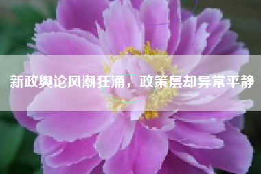 新政舆论风潮狂涌，政策层却异常平静