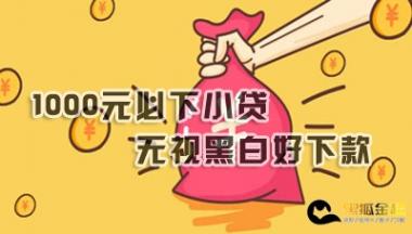 1000元必下小贷有哪些无视黑白好下款