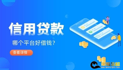 纯信用贷款哪个平台好借钱