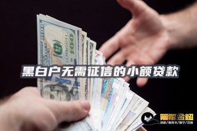 黑白户无需征信的小额贷款