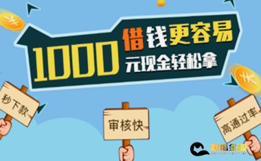 2021必下款的借款平台 不审核直接放款5000
