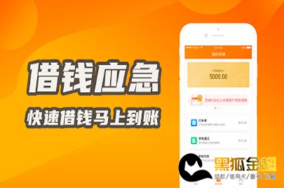 借钱应急必下款的口子 快速借钱马上到账