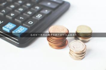 存20万一年可以赚多少钱？20万怎么投资？