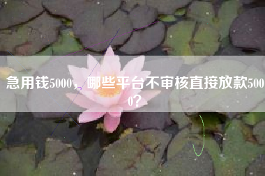 急用钱5000，哪些平台不审核直接放款5000？