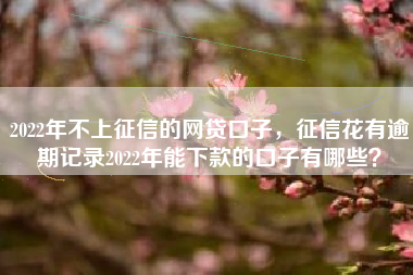 2022年不上征信的网贷口子，征信花有逾期记录2022年能下款的口子有哪些？