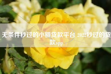 无条件秒过的小额贷款平台 2022秒过的贷款app