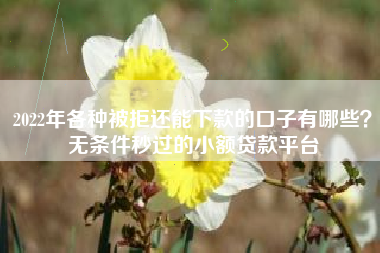 2022年各种被拒还能下款的口子有哪些？无条件秒过的小额贷款平台