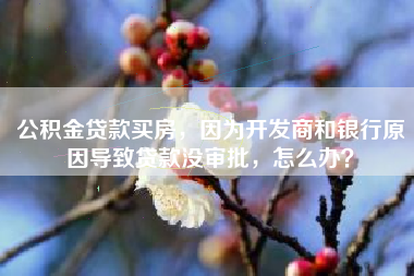 公积金贷款买房，因为开发商和银行原因导致贷款没审批，怎么办？