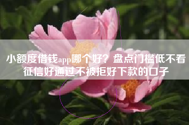 小额度借钱app哪个好？盘点门槛低不看征信好通过不被拒好下款的口子