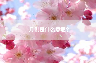 月供是什么意思？