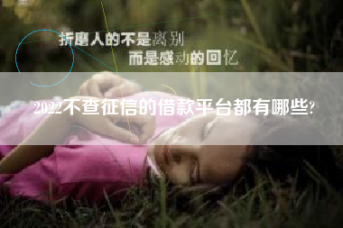 2022不查征信的借款平台都有哪些?