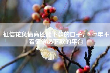 征信花负债高还能下款的口子，2022年不看征信必下款的平台