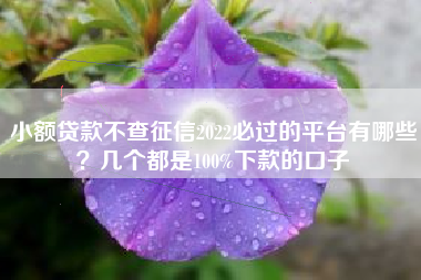 小额贷款不查征信2022必过的平台有哪些？几个都是100%下款的口子