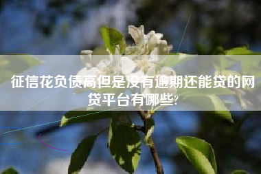 征信花负债高但是没有逾期还能贷的网贷平台有哪些?