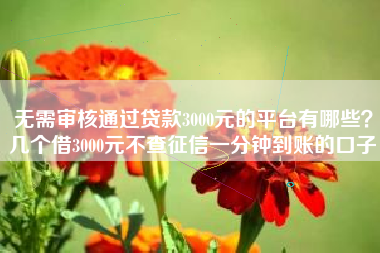 无需审核通过贷款3000元的平台有哪些？几个借3000元不查征信一分钟到账的口子