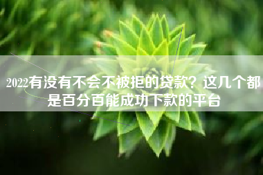 2022有没有不会不被拒的贷款？这几个都是百分百能成功下款的平台