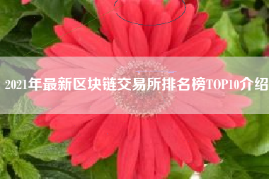 2021年最新区块链交易所排名榜TOP10介绍