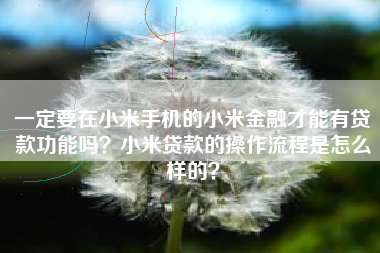 一定要在小米手机的小米金融才能有贷款功能吗？小米贷款的操作流程是怎么样的？