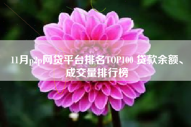 11月p2p网贷平台排名TOP100 贷款余额、成交量排行榜
