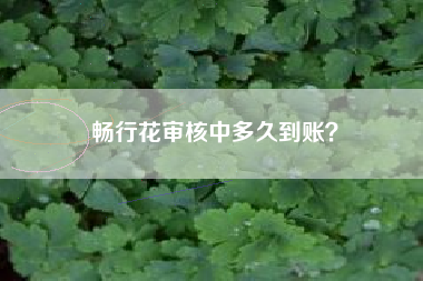 畅行花审核中多久到账？