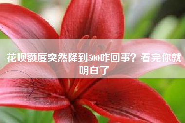 花呗额度突然降到500咋回事？看完你就明白了