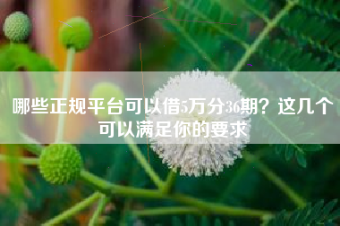 哪些正规平台可以借5万分36期？这几个可以满足你的要求
