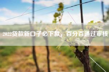 2022贷款新口子必下款，百分百通过审核
