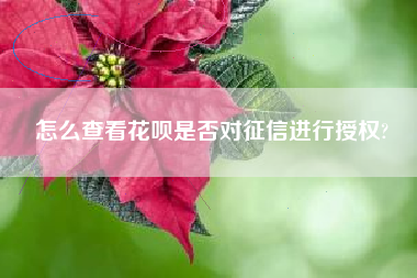 怎么查看花呗是否对征信进行授权?