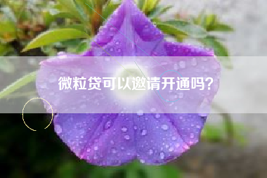 微粒贷可以邀请开通吗？