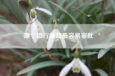 哪个银行贷款最容易审批