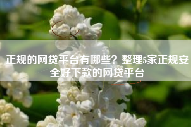 正规的网贷平台有哪些？整理5家正规安全好下款的网贷平台